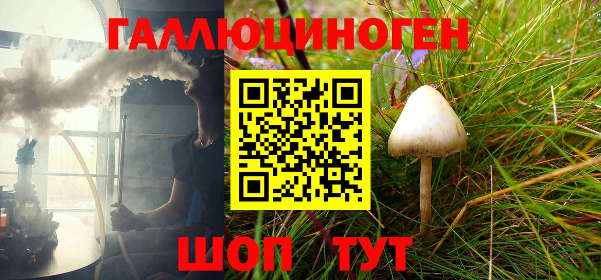 Псилоцибиновые грибы MAGIC MUSHROOMS Калуга