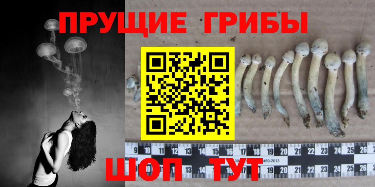 Галлюциногенные грибы мицелий  Вход с VPN  Калуга  Псилоцибиновые грибы Psilocybe 